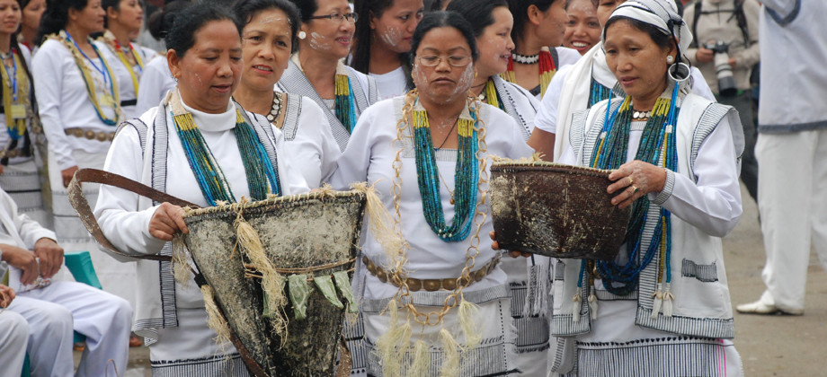 Mopin Festival, Arunachal Pradesh