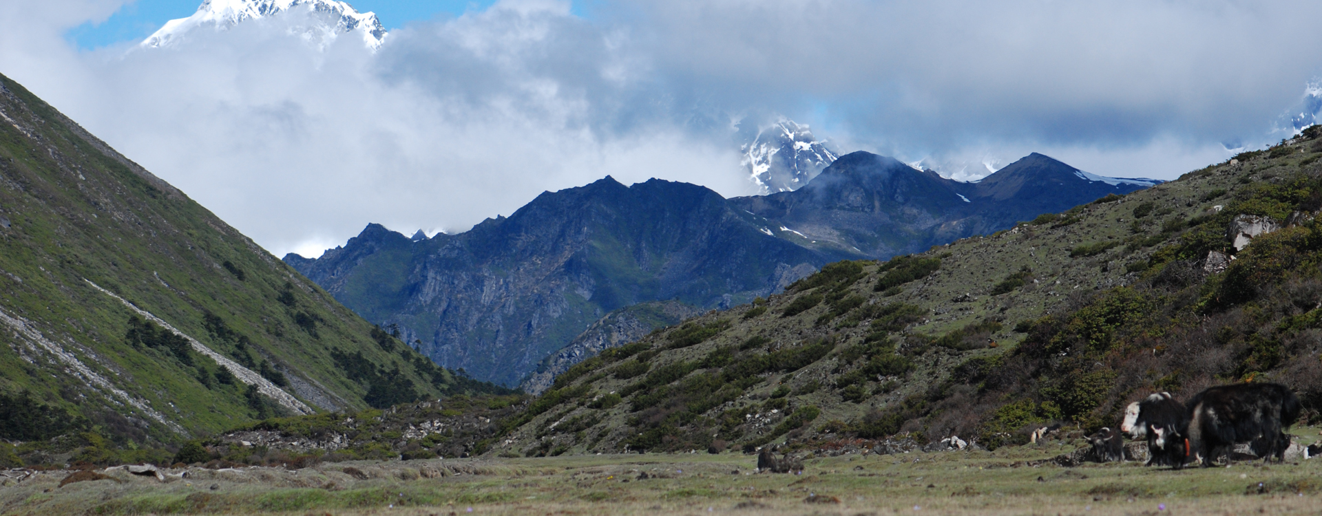 Gorichen Trek from Jang, Arunachal Pradesh